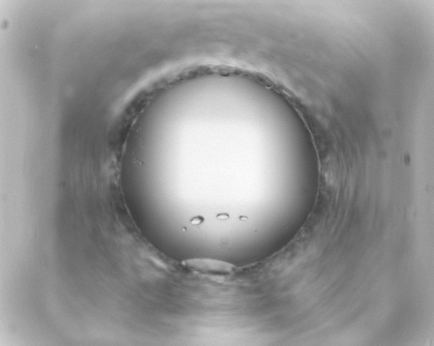 X0000088851495200706221647