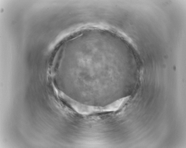 X0000088851496200706221647