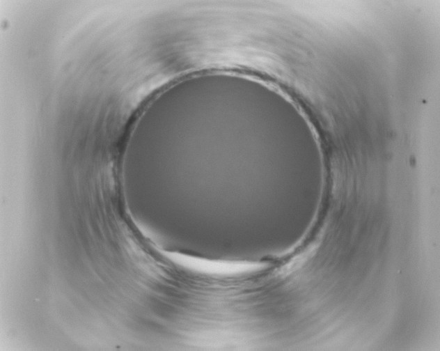 X0000088851497200706221647