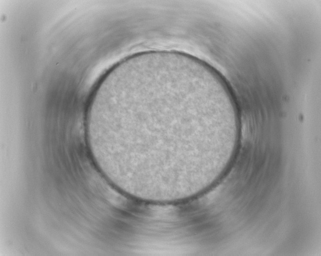 X0000088851498200706221647