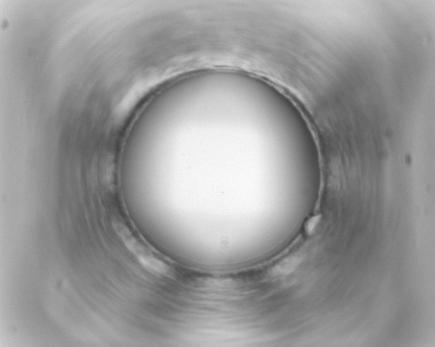 X0000088851499200706221647