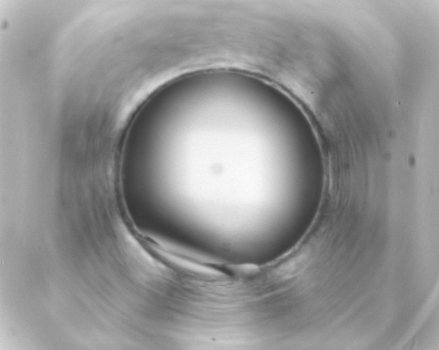 X0000088851500200706221647