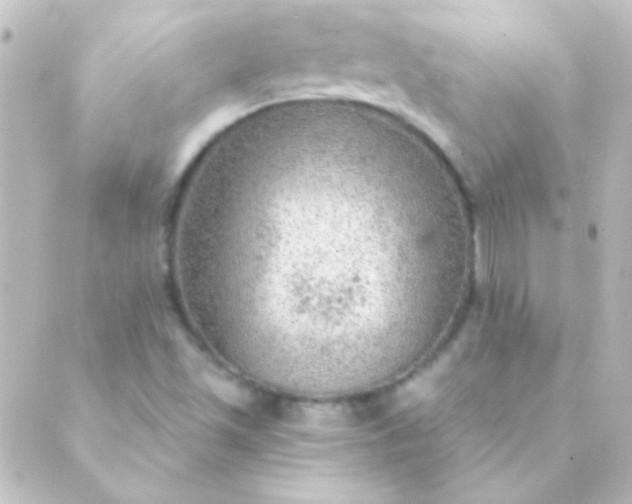 X0000088851501200706221647