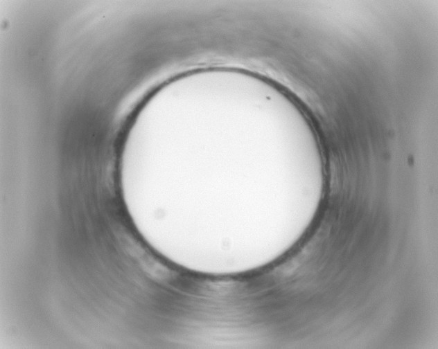 X0000088851502200706221647