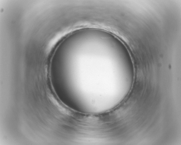 X0000088851503200706221647