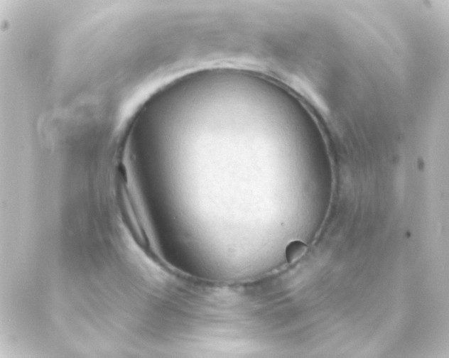 X0000088851504200706221647