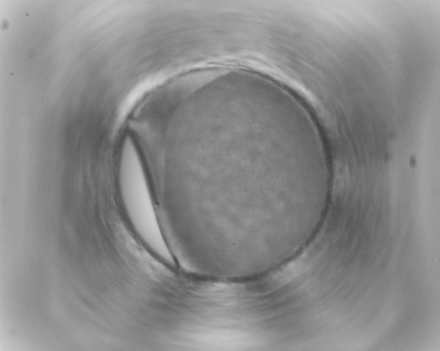 X0000088851506200706221647