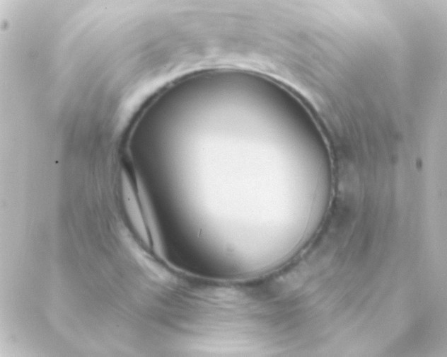 X0000088851507200706221647