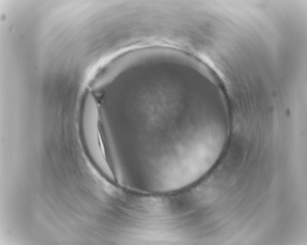 X0000088851508200706221647