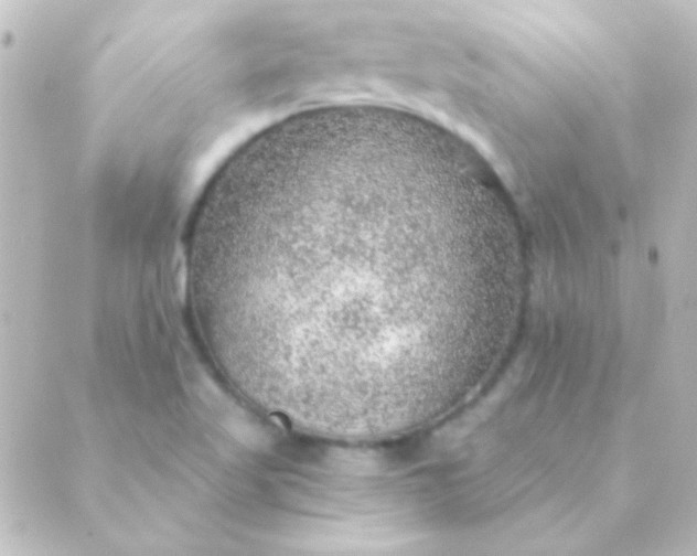 X0000088851509200706221647