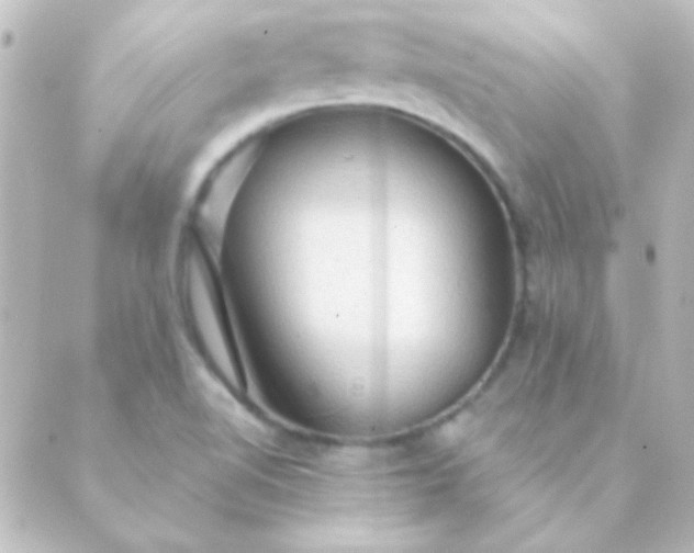 X0000088851510200706221647