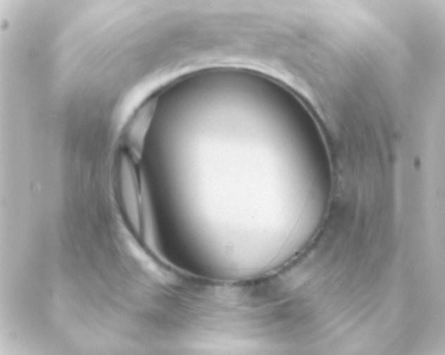 X0000088851511200706221647