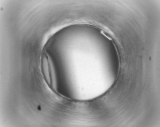 X0000088851512200706221647