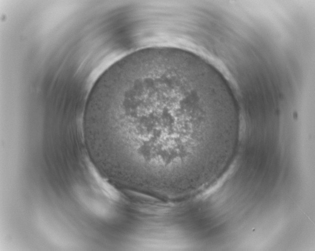 X0000088851513200706221647