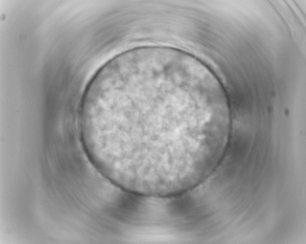 X0000088851514200706221647