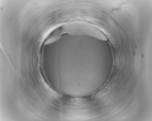 X0000088851515200706221647