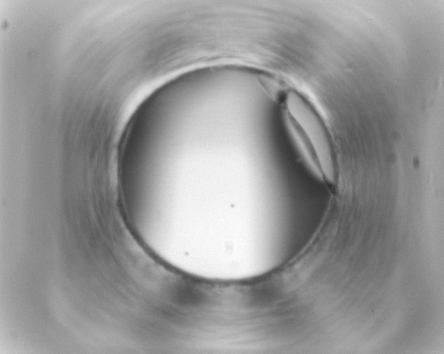 X0000088851516200706221647