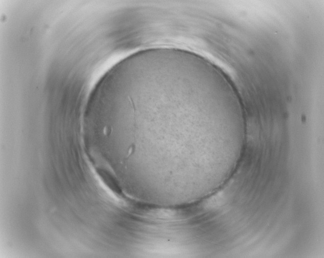 X0000088851517200706221647