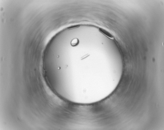 X0000088851518200706221647