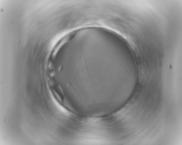 X0000088851519200706221647