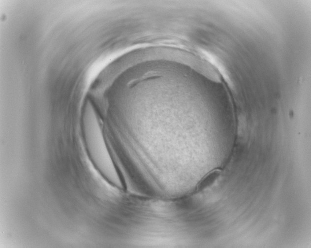 X0000088851520200706221647