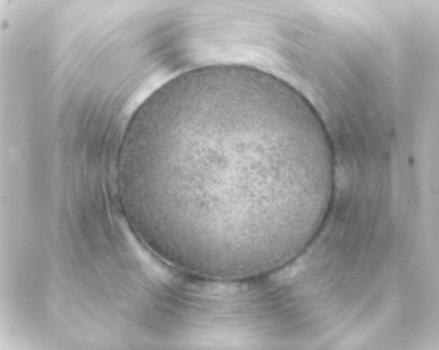 X0000088851521200706221647