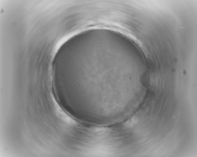 X0000088851522200706221647