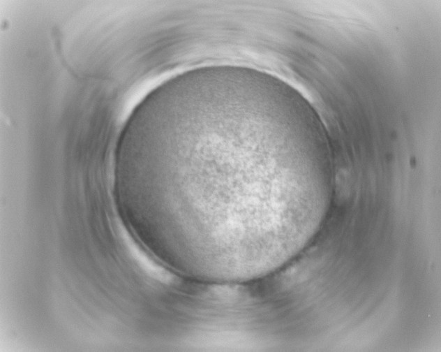 X0000088851523200706221647