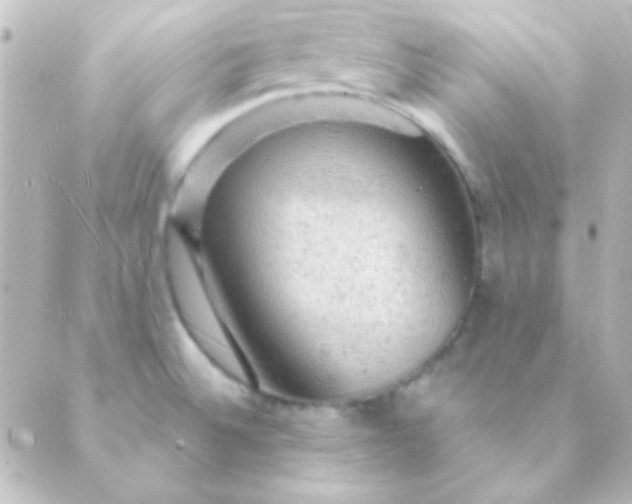 X0000088851524200706221647