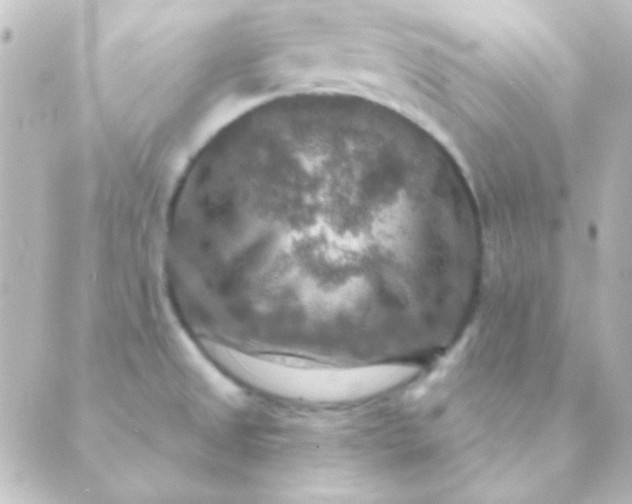 X0000088851525200706221647