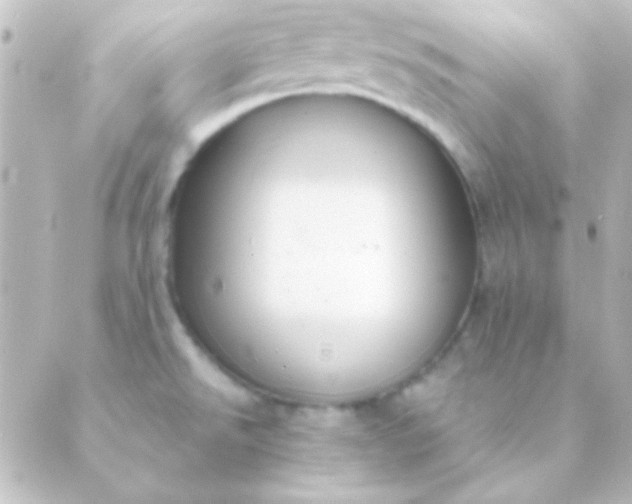 X0000088851526200706221647