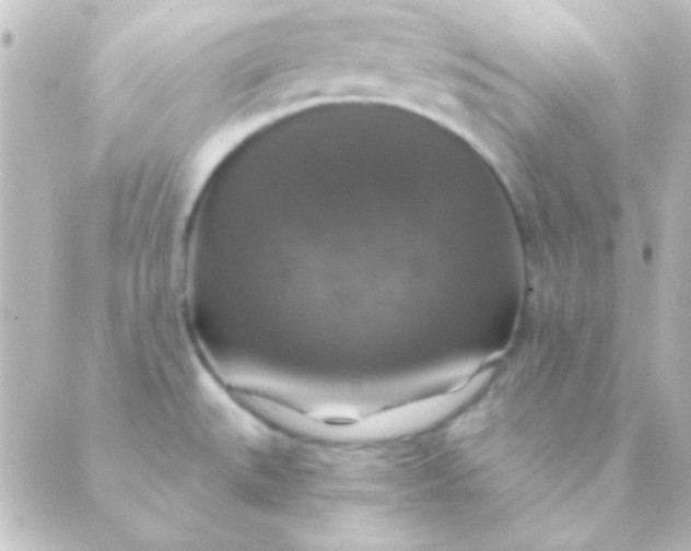 X0000088851527200706221647