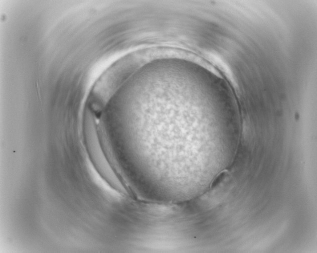 X0000088851528200706221647