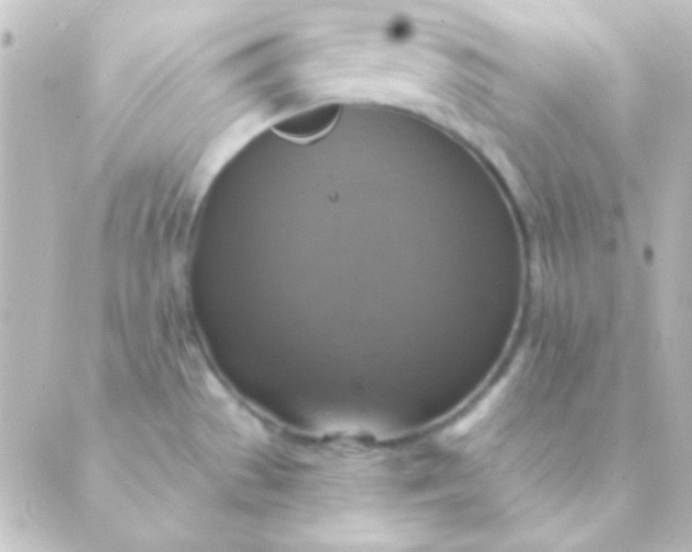 X0000088851529200706221647