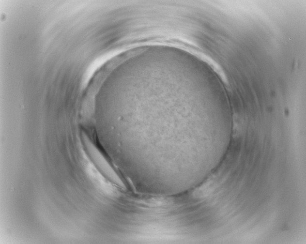 X0000088851530200706221647