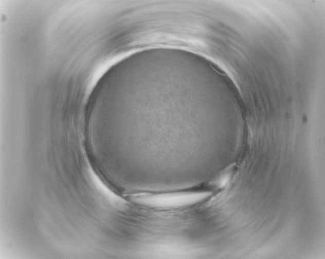 X0000088851531200706221647