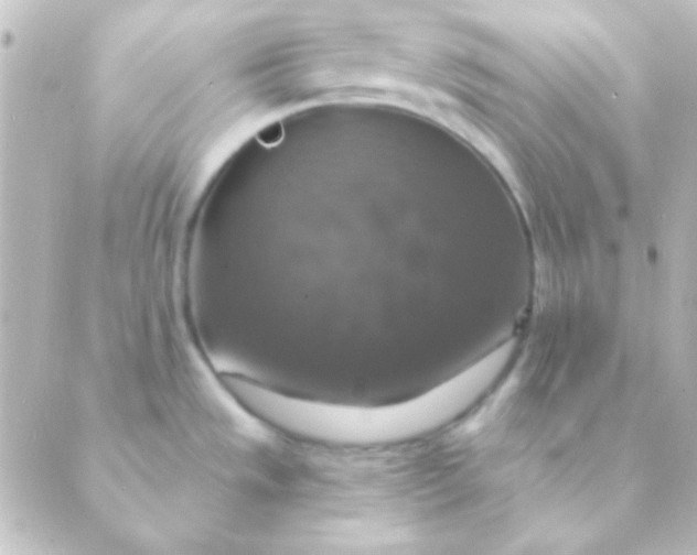 X0000088851533200706221648