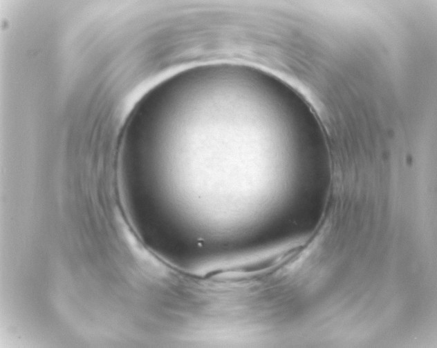 X0000088851534200706221648