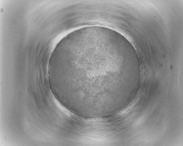 X0000088851535200706221648