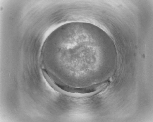 X0000088851536200706221648