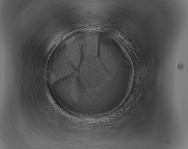 X0000088850002200706291506