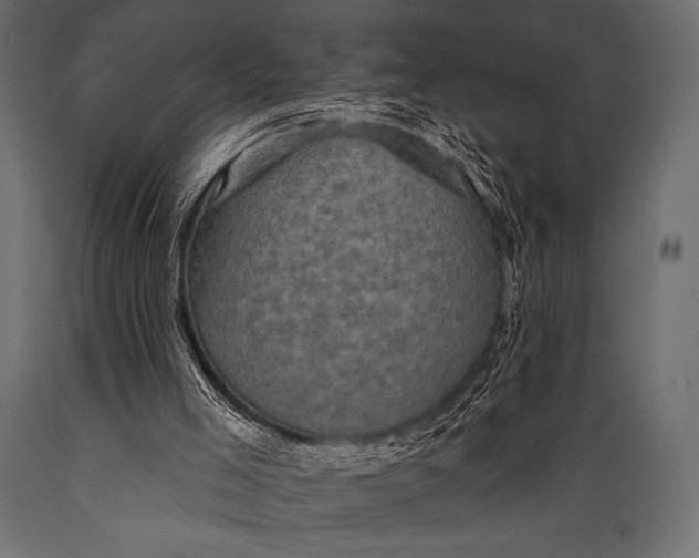 X0000088850005200706291506