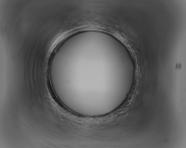 X0000088850007200706291505