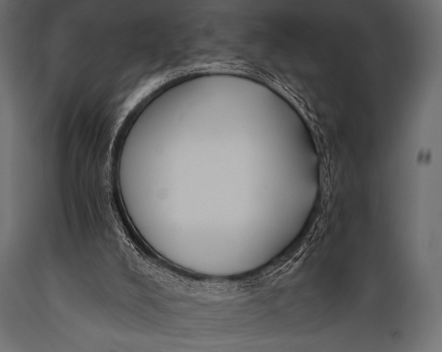 X0000088850008200706291505