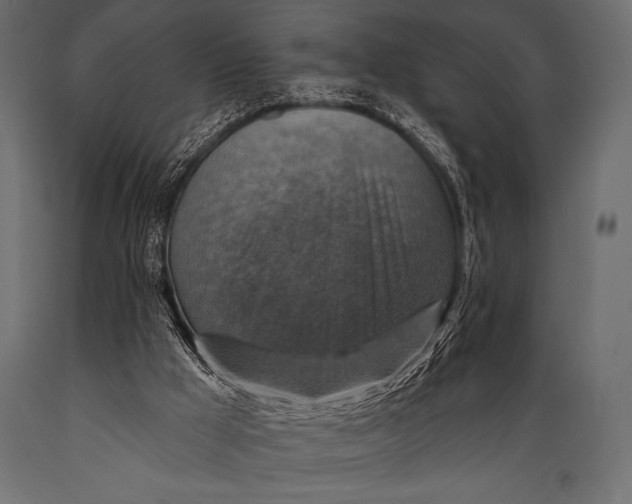 X0000088850009200706291505