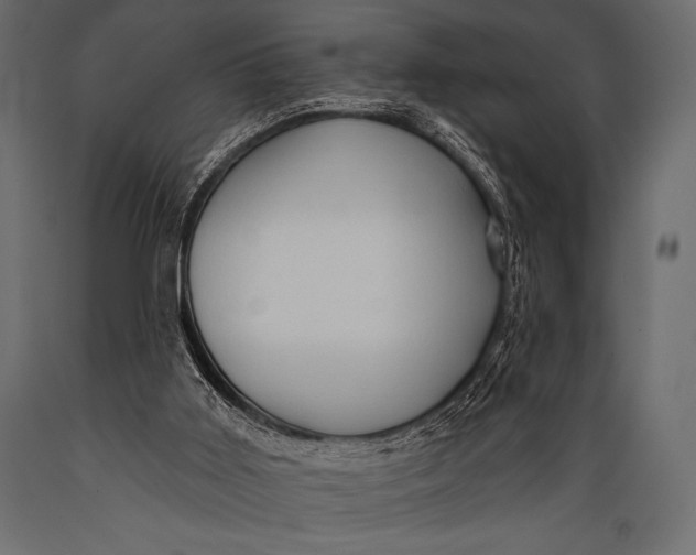 X0000088850011200706291505