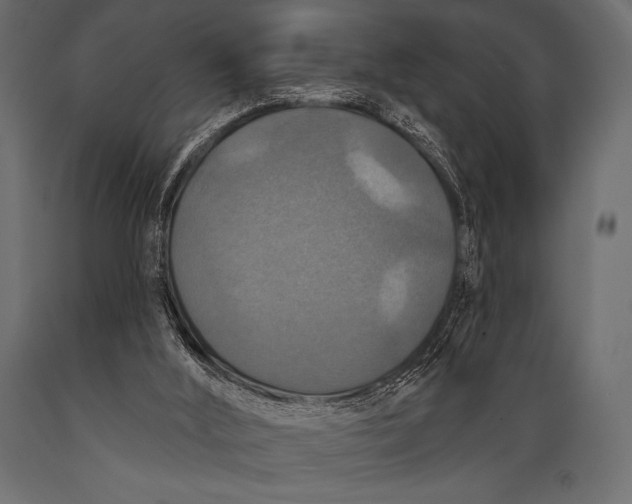 X0000088850012200706291505