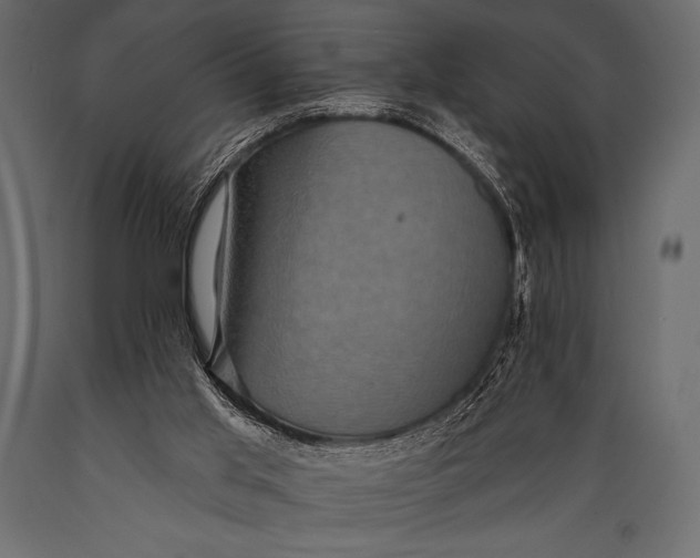 X0000088850013200706291505