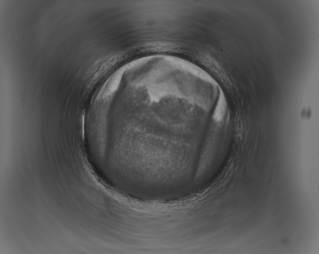 X0000088850014200706291505