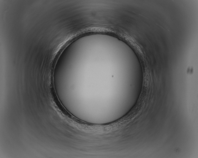 X0000088850015200706291505